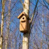 Stor fuglekasse, fuglekasse, fuglehus